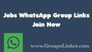 Job WhatsApp Group