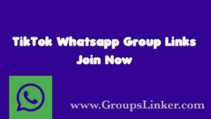 Tik Tok WhatsApp Group Link